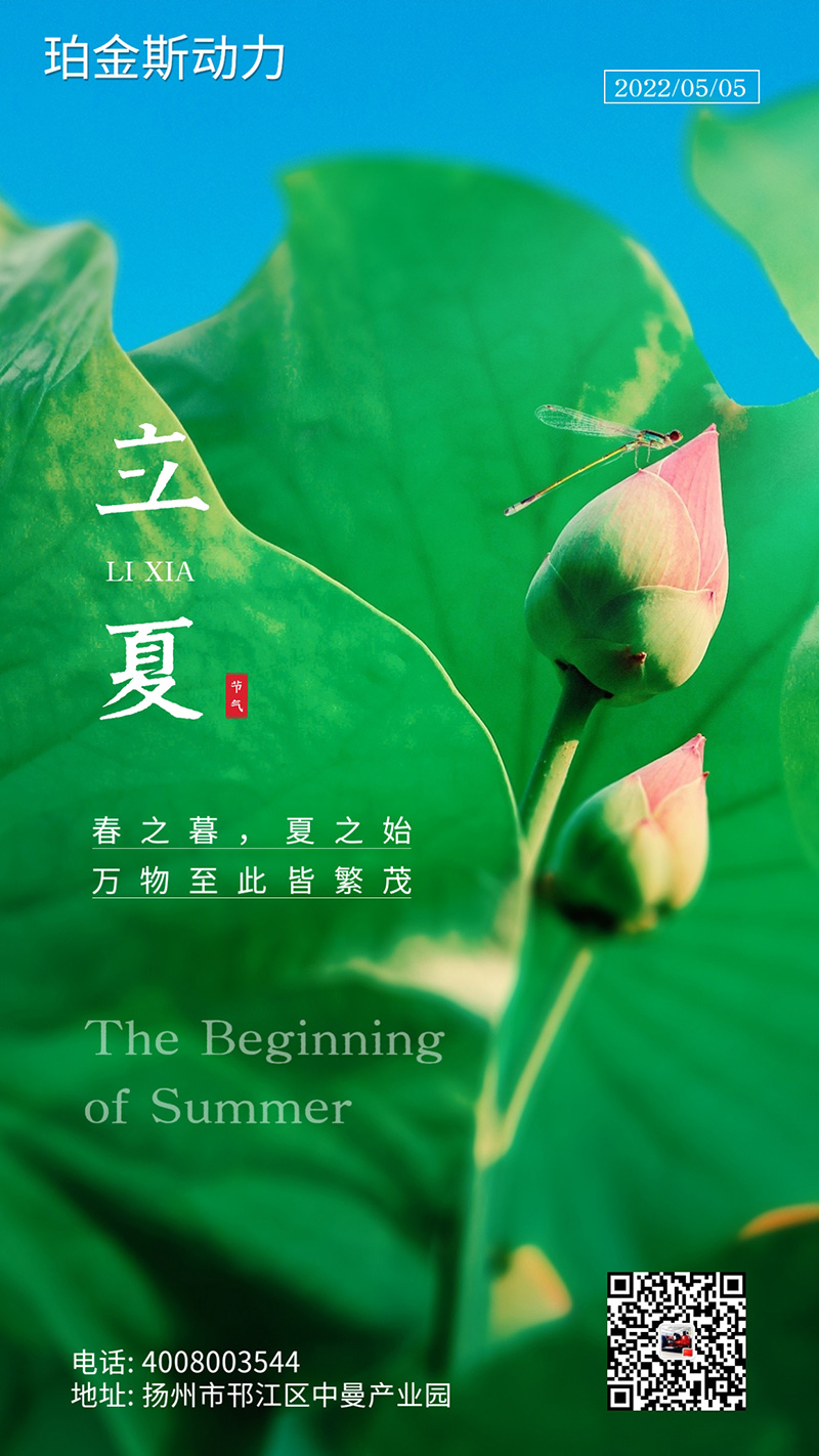 立夏至，万物长